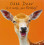 Funny animal card Deer Birthday