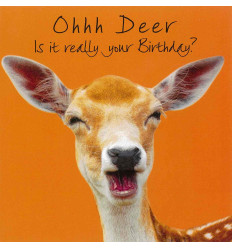 Funny animal card Deer Birthday
