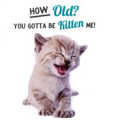 Funny animal card Kitten Birthday!
