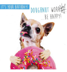 Funny animal card Your Birthday!