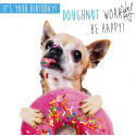 Funny animal card Your Birthday!