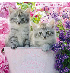 Funny Animal Sister Birthday card