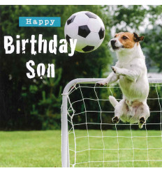 Funny animal card Son Birthday!
