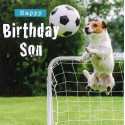 Funny animal card Son Birthday!