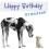 Funny animal card Grandson Birthday!
