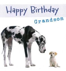 Funny animal card Grandson Birthday!