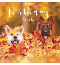 Funny animal card Happy Birthday Brother!