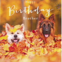 Funny animal card Happy Birthday Brother!