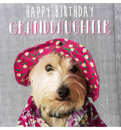 Funny animal card Happy Birthday Granddaughter!