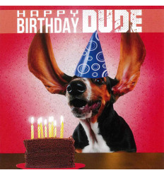 Funny animal card Happy Birthday Dude!