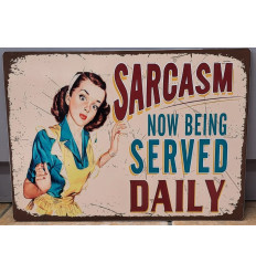 Funny Vintage Sign Wall Plaque for Decor Sarcasm