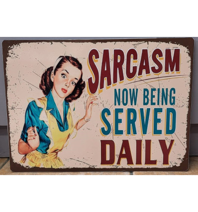 Funny Vintage Sign Wall Plaque for Decor Sarcasm