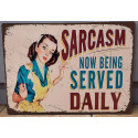 Funny Vintage Sign Wall Plaque for Decor Sarcasm