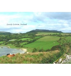 Grazing Cows in lovely Leitrim greeting card