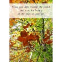 Sentiment Card - May you walk through the world...