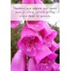 Sentiment Card - Happiness is a perfume ...